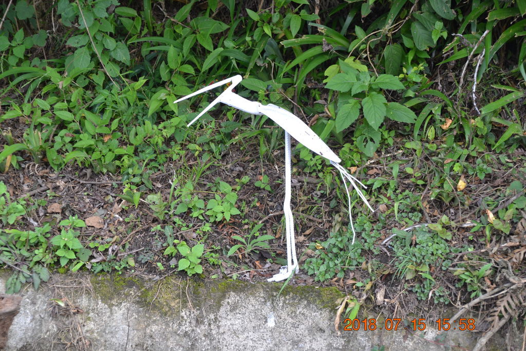 DSC_0316.JPG DSC_0316.JPG