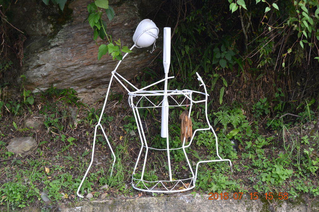 DSC_0319.JPG DSC_0319.JPG