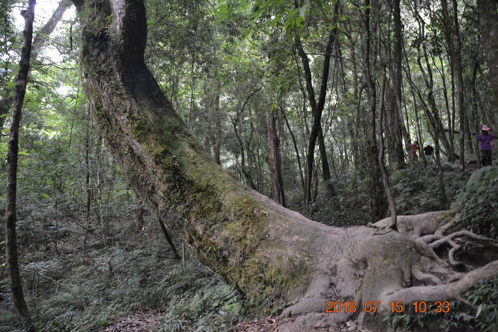 DSC_0047.JPG DSC_0047.JPG
