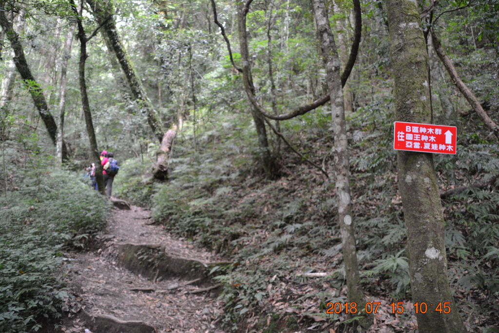 DSC_0055.JPG DSC_0055.JPG