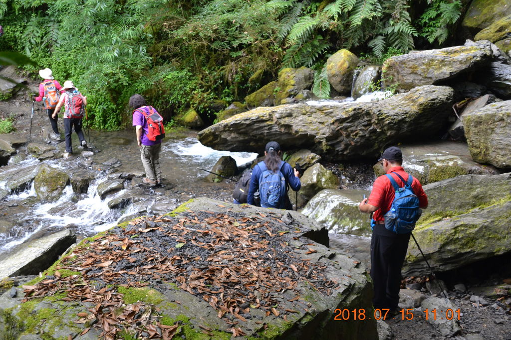 DSC_0063.JPG DSC_0063.JPG