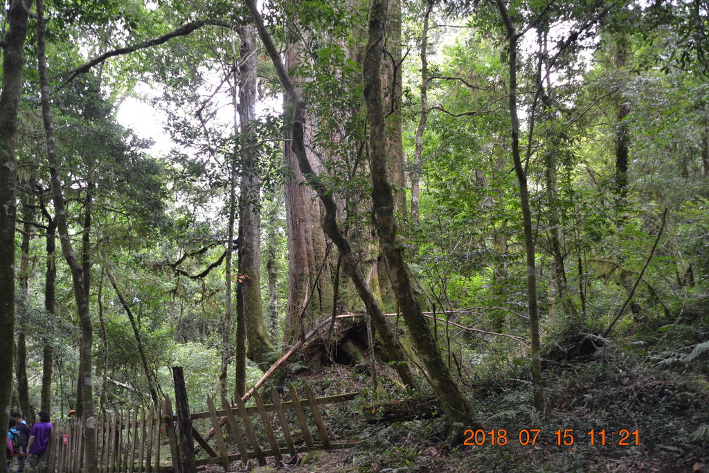 DSC_0090.JPG DSC_0090.JPG