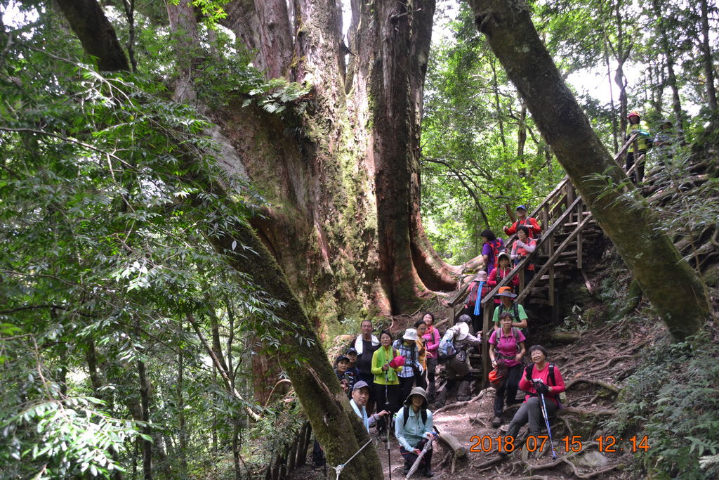 DSC_0137.JPG DSC_0137.JPG
