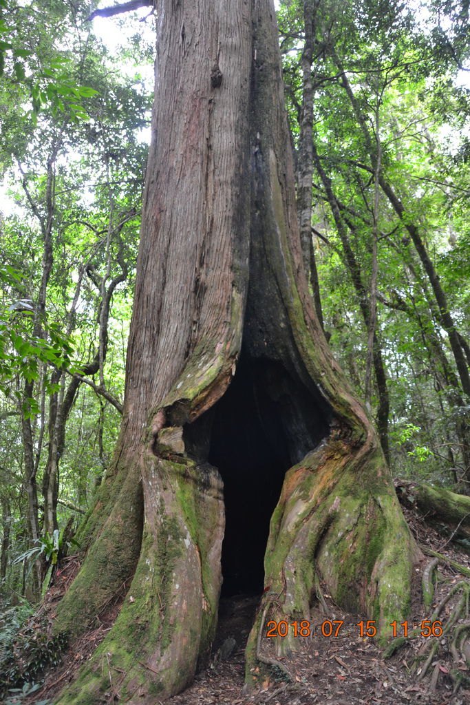 DSC_0116.JPG DSC_0116.JPG