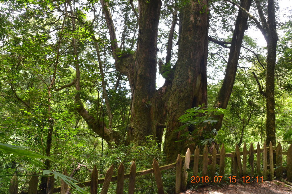DSC_0130.JPG DSC_0130.JPG