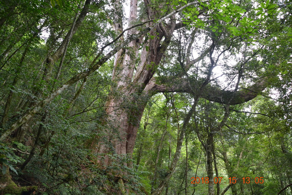 DSC_0246.JPG DSC_0246.JPG