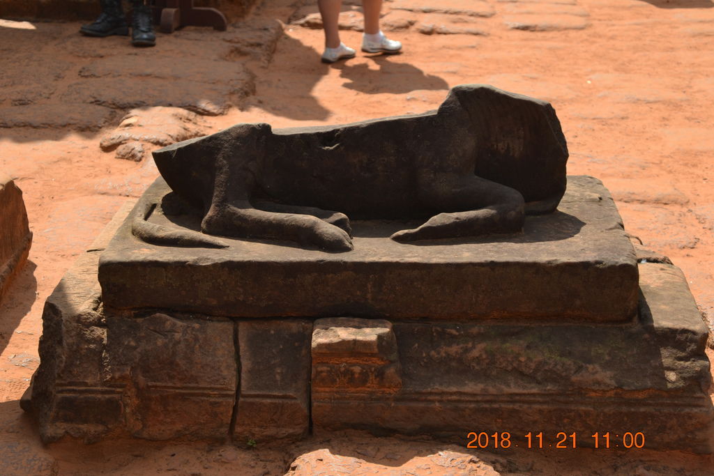 DSC_0826.JPG DSC_0826.JPG