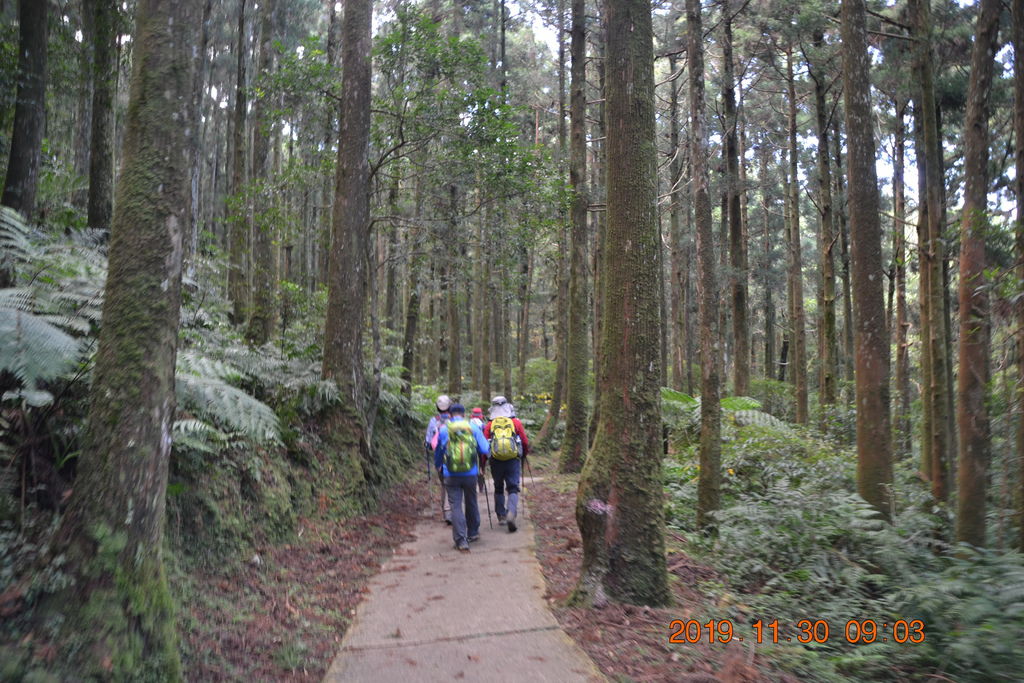 DSC_0036.JPG DSC_0036.JPG
