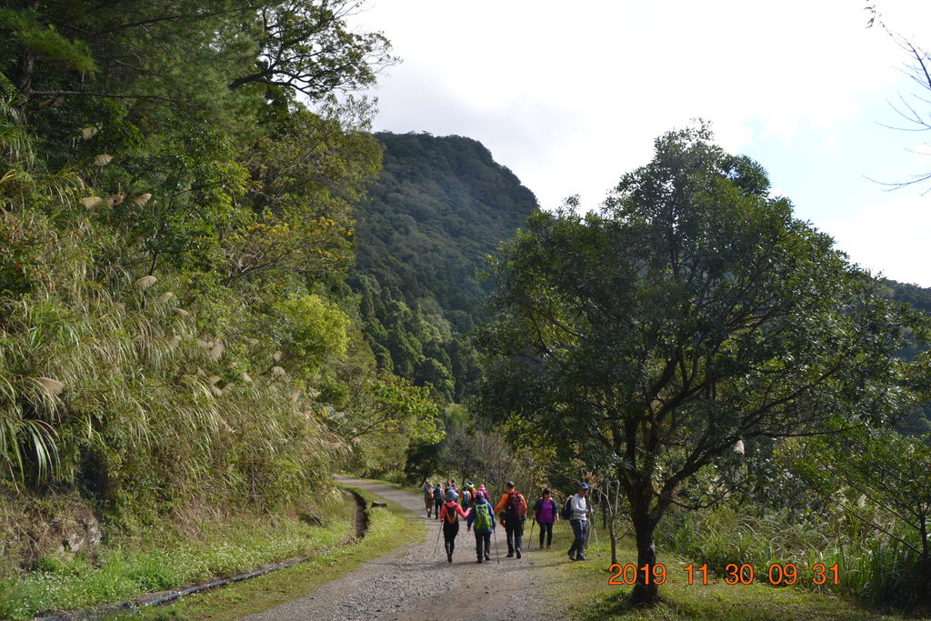 DSC_0070.JPG DSC_0070.JPG