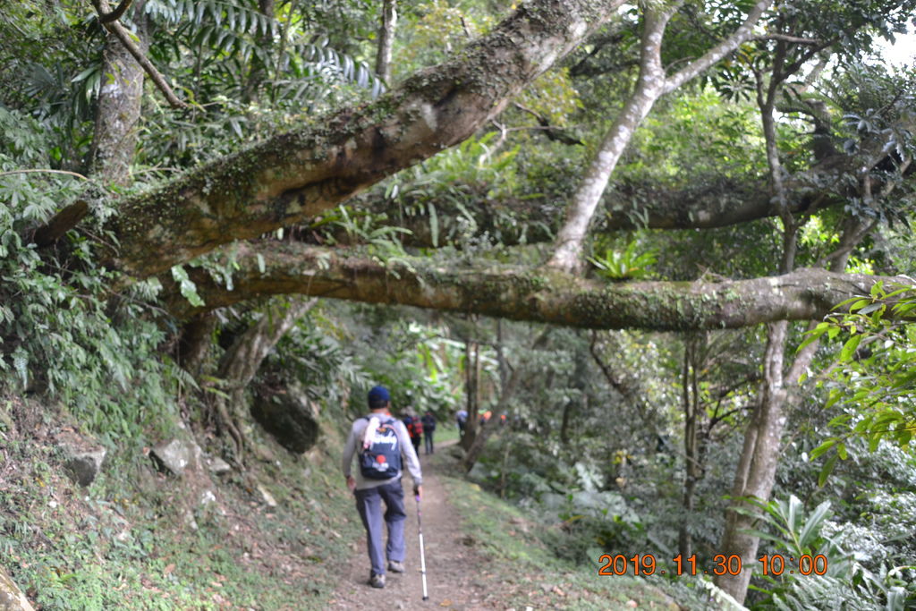 DSC_0102.JPG DSC_0102.JPG