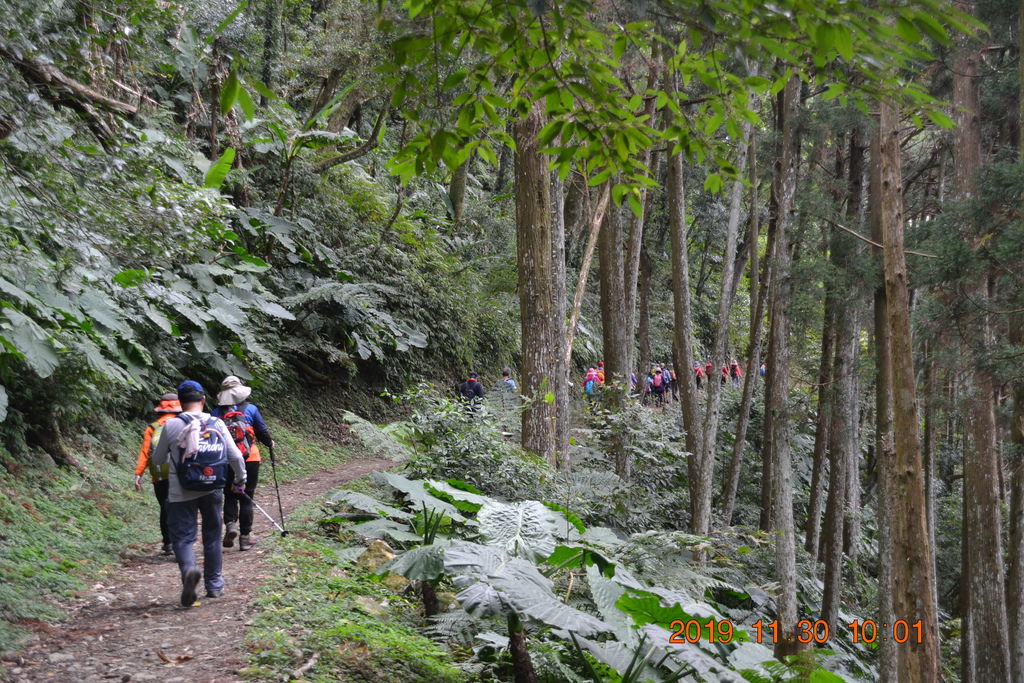 DSC_0103.JPG DSC_0103.JPG