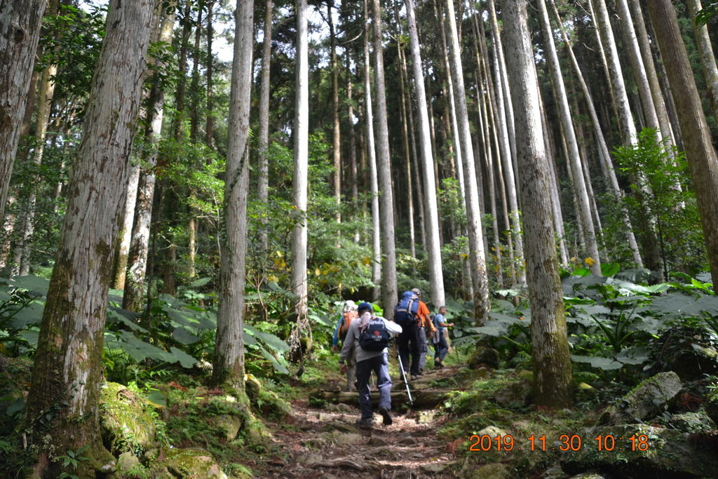 DSC_0107.JPG DSC_0107.JPG