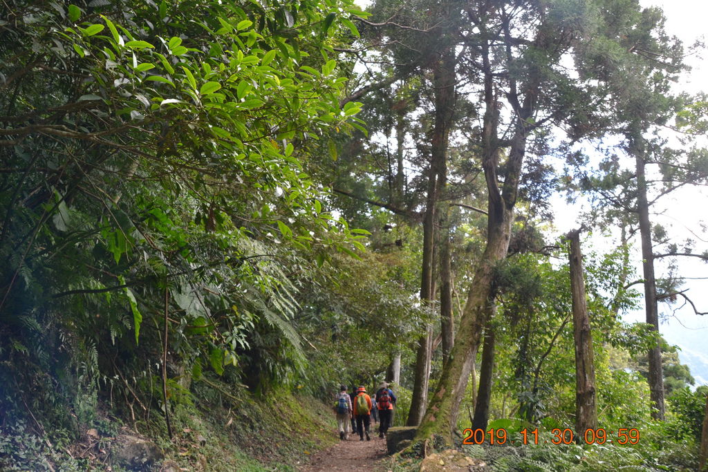 DSC_0100.JPG DSC_0100.JPG