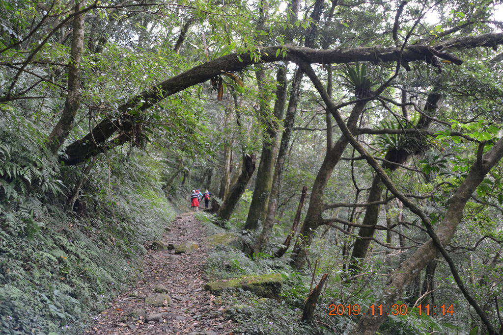 DSC_0121.JPG DSC_0121.JPG
