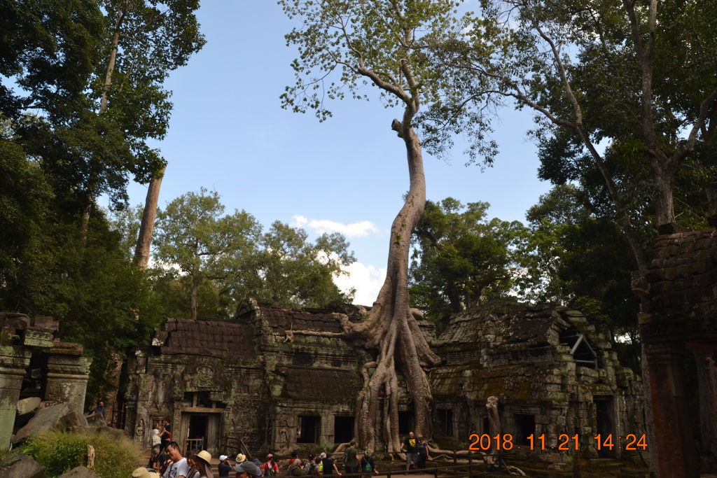 DSC_0938.JPG DSC_0938.JPG