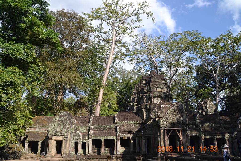 DSC_0005.JPG DSC_0005.JPG