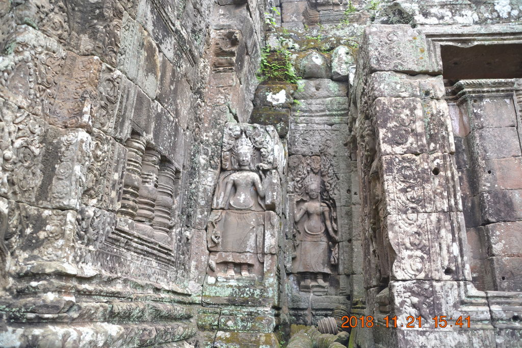 DSC_0050.JPG DSC_0050.JPG
