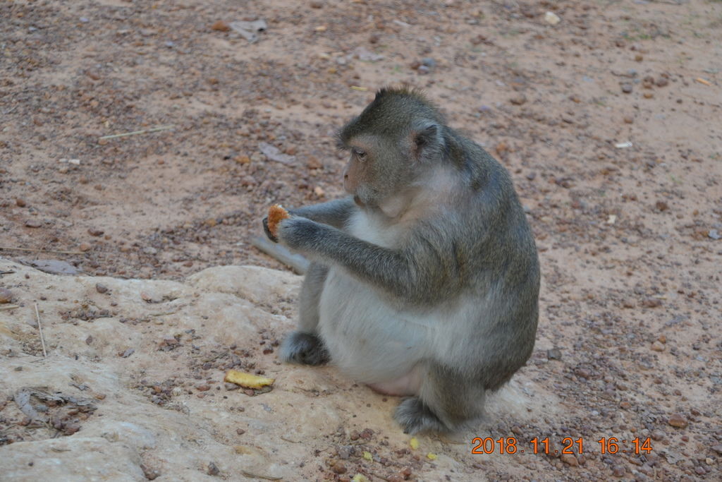 DSC_0077.JPG DSC_0077.JPG