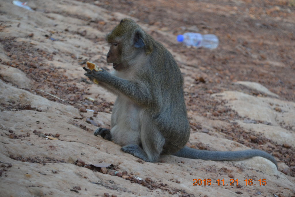 DSC_0079.JPG DSC_0079.JPG