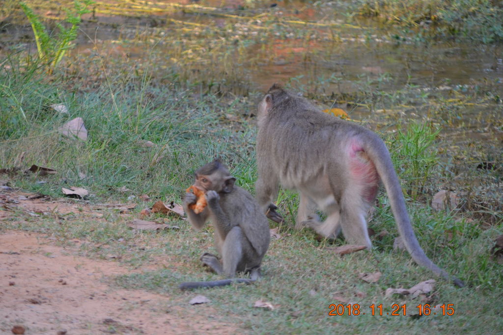 DSC_0080.JPG DSC_0080.JPG