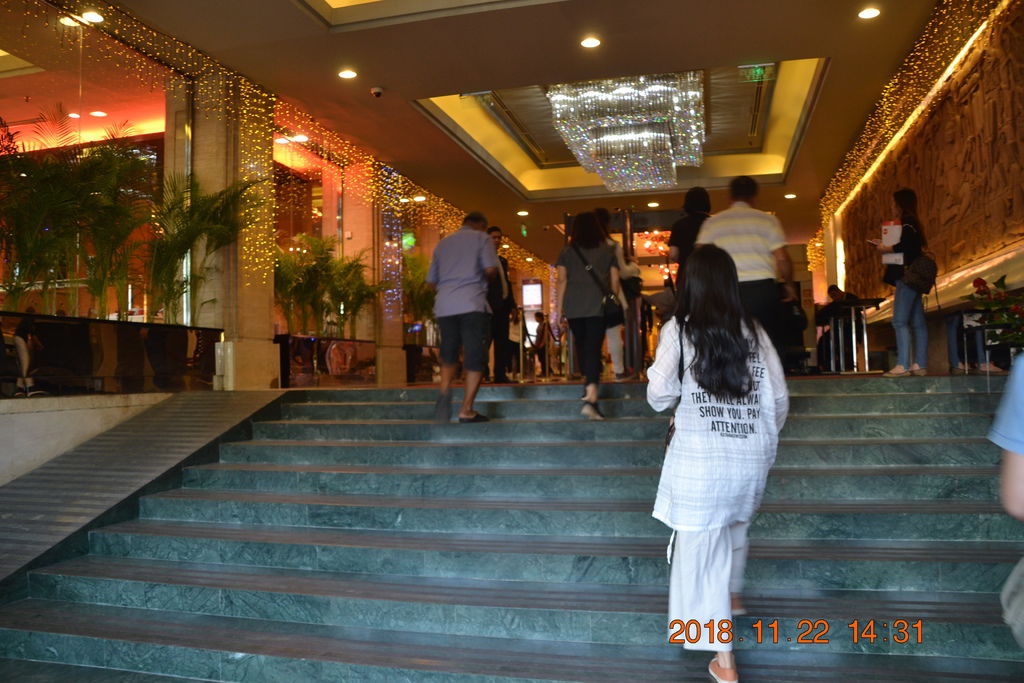 DSC_0203.JPG DSC_0203.JPG