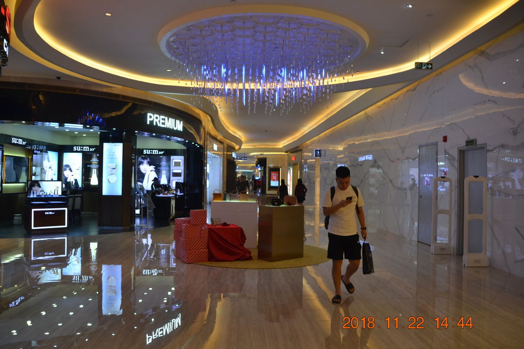 DSC_0207.JPG DSC_0207.JPG