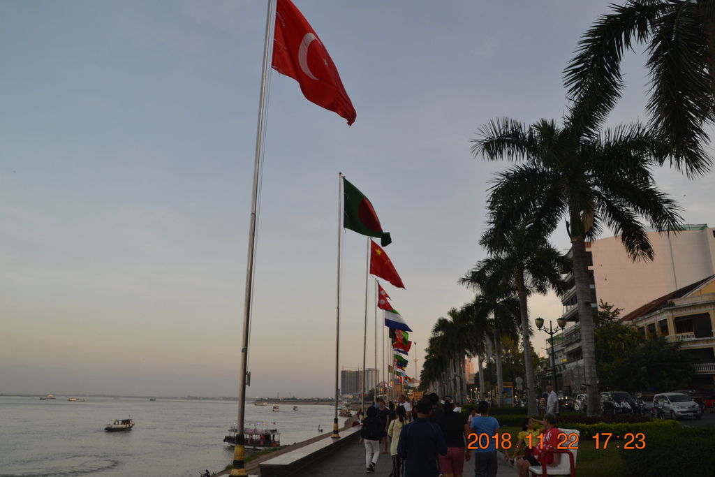 DSC_0274.JPG DSC_0274.JPG