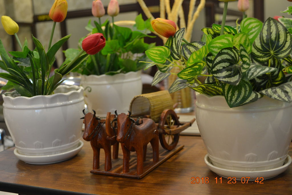 DSC_0363.JPG DSC_0363.JPG
