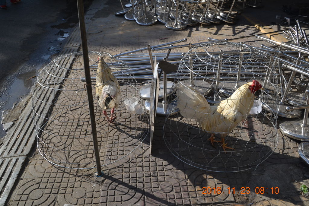 DSC_0374.JPG DSC_0374.JPG