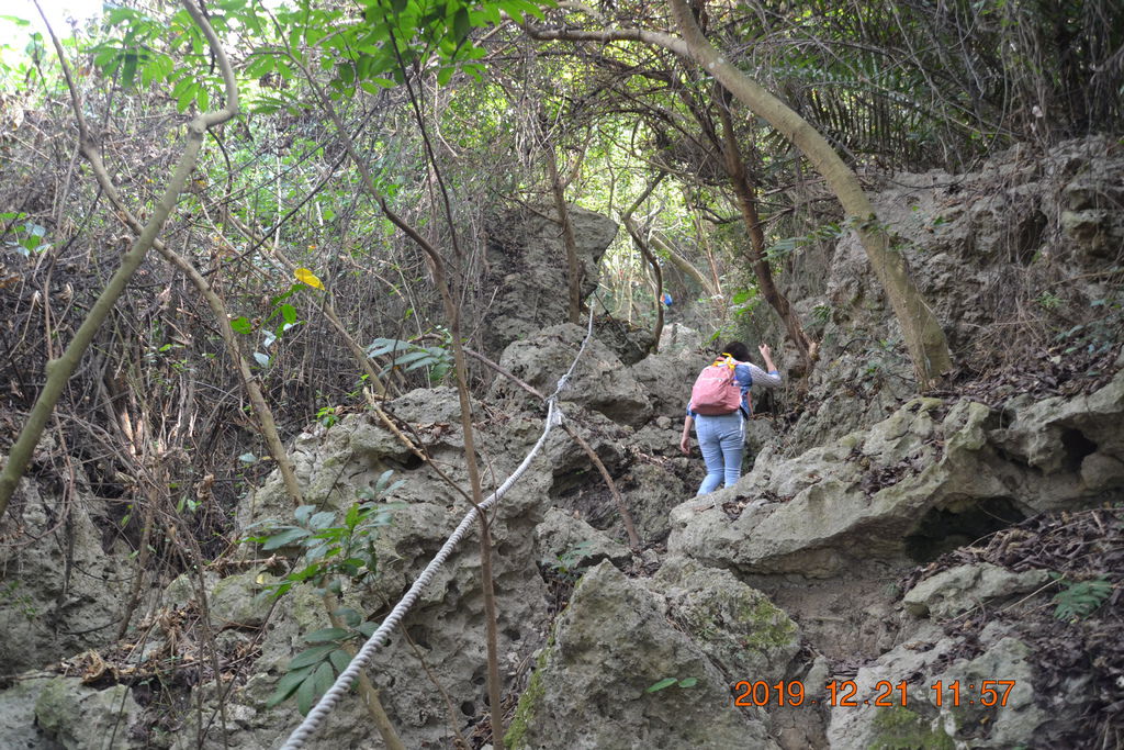 DSC_0079.JPG DSC_0079.JPG