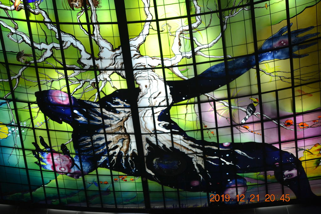 DSC_0272.JPG DSC_0272.JPG