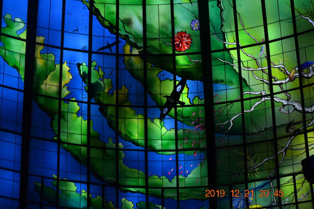 DSC_0273.JPG DSC_0273.JPG
