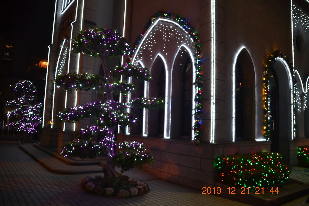 DSC_0316.JPG DSC_0316.JPG