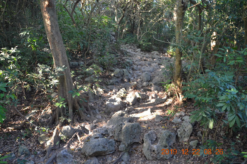 DSC_0410.JPG DSC_0410.JPG
