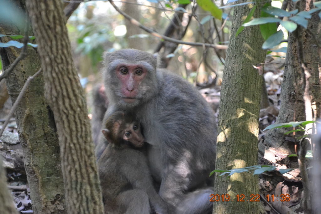 DSC_0494.JPG DSC_0494.JPG