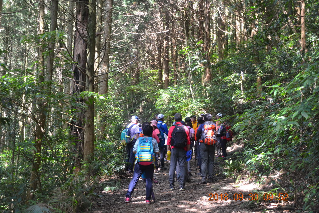 DSC_0008.JPG DSC_0008.JPG