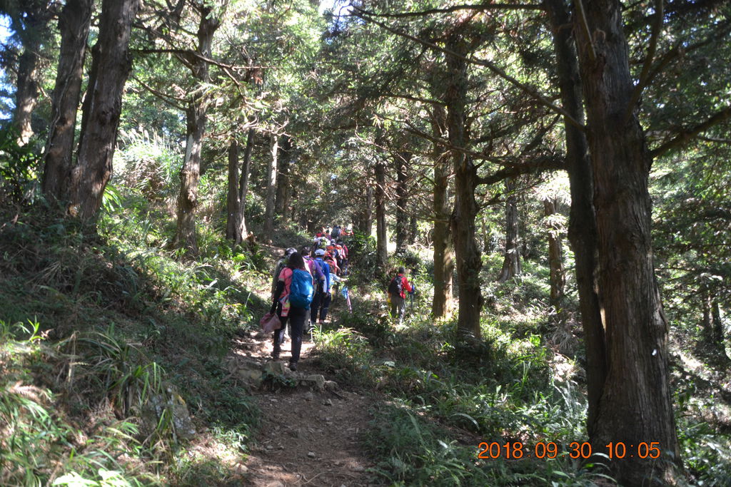 DSC_0010.JPG DSC_0010.JPG