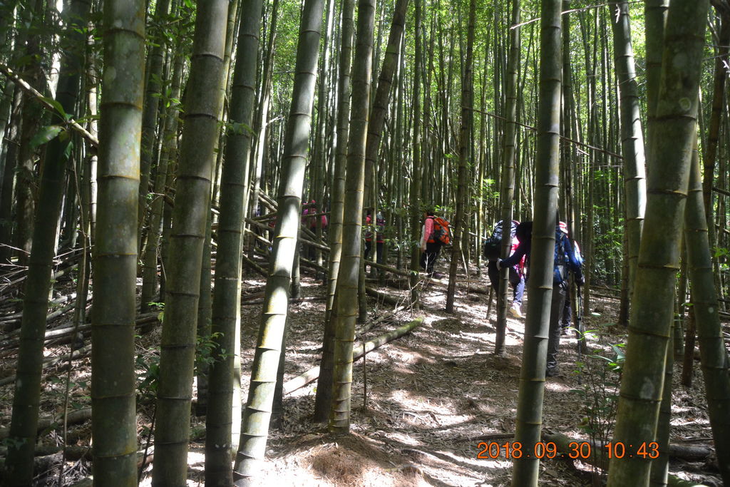 DSC_0028.JPG DSC_0028.JPG