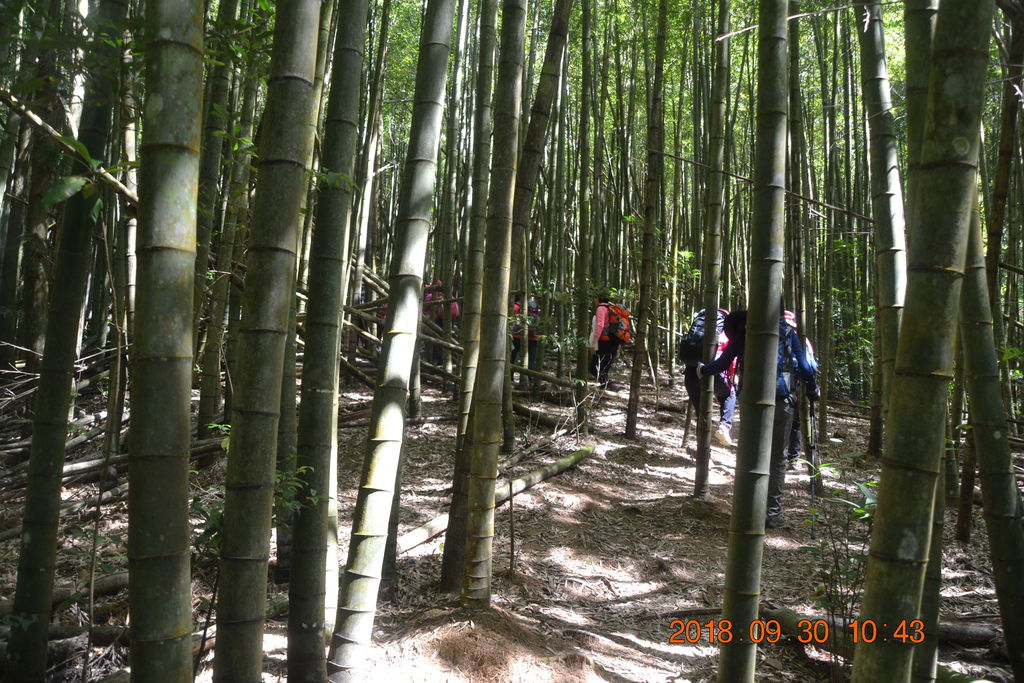 台中長壽山(1860峰)-長壽山、大崠山一日遊-1