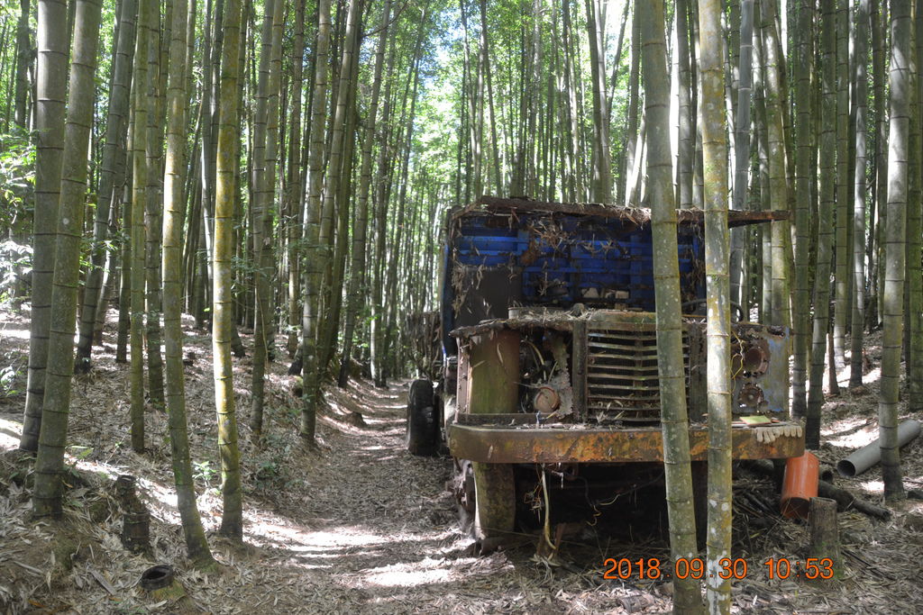 DSC_0031.JPG DSC_0031.JPG