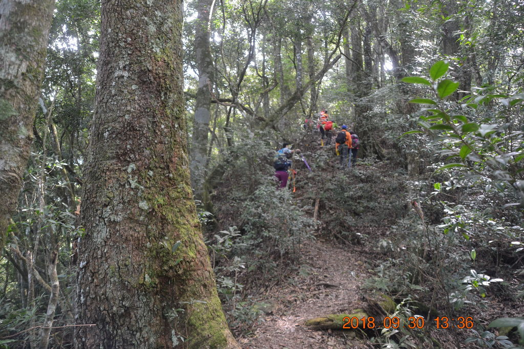 DSC_0072.JPG DSC_0072.JPG
