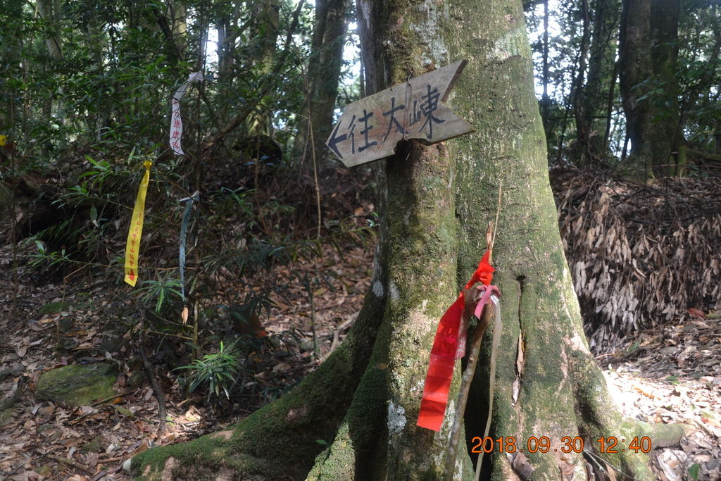 DSC_0047.JPG DSC_0047.JPG