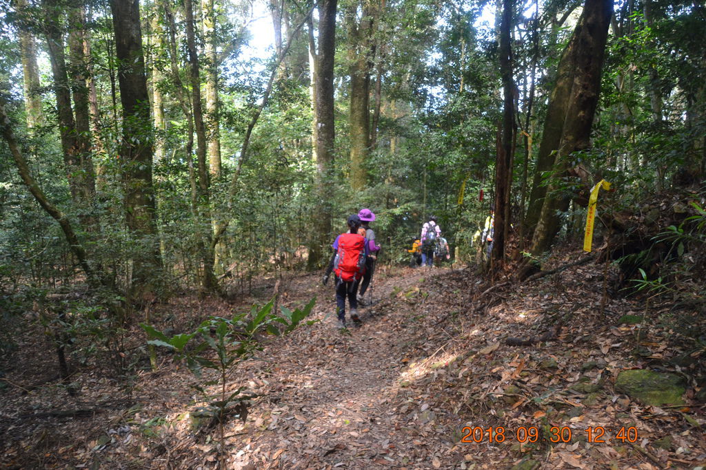 DSC_0048.JPG DSC_0048.JPG