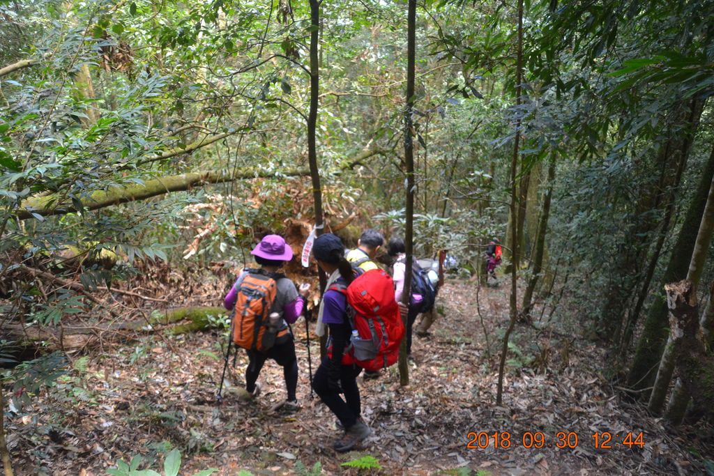 DSC_0049.JPG DSC_0049.JPG