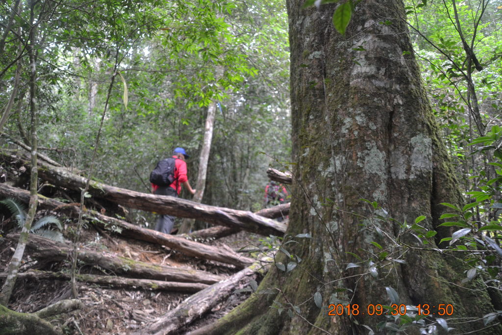 DSC_0073.JPG DSC_0073.JPG