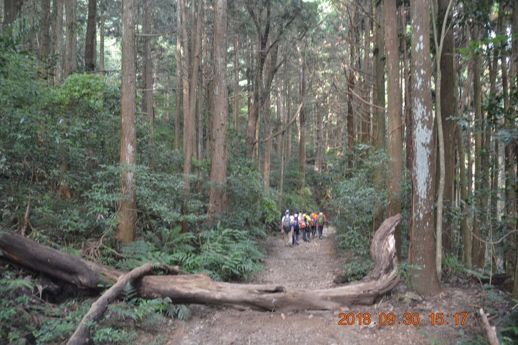 DSC_0082.JPG DSC_0082.JPG