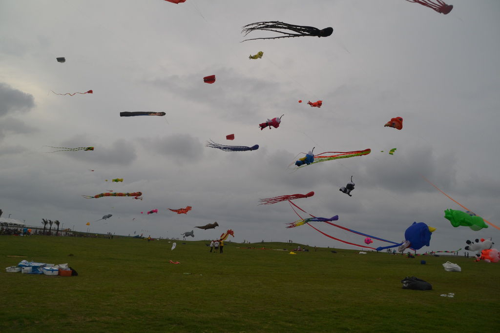 DSC_0032.JPG DSC_0032.JPG
