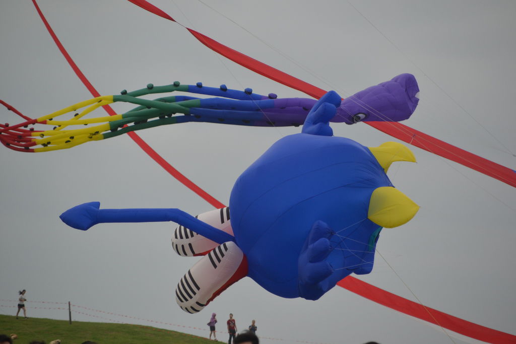 DSC_0027.JPG DSC_0027.JPG