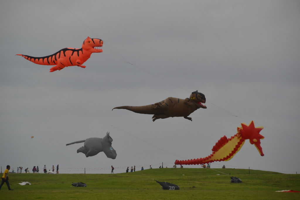 DSC_0038.JPG DSC_0038.JPG