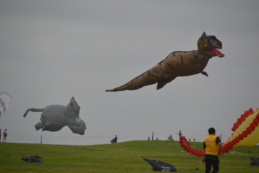 DSC_0034.JPG DSC_0034.JPG